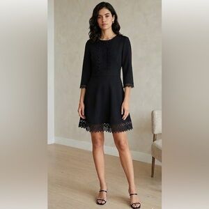 Zara Black Lace Accents Dress